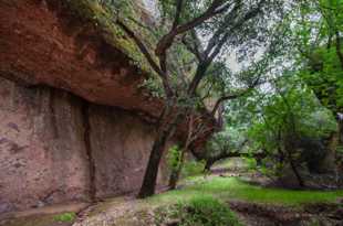 Pinnacles-2236.jpg