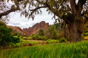 Pinnacles-2255.jpg