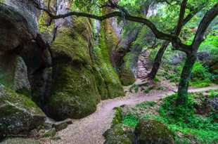 Pinnacles-2256.jpg