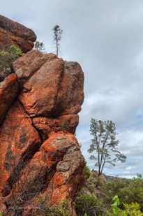 Pinnacles-2258.jpg