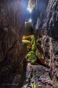 Pinnacles-2271.jpg