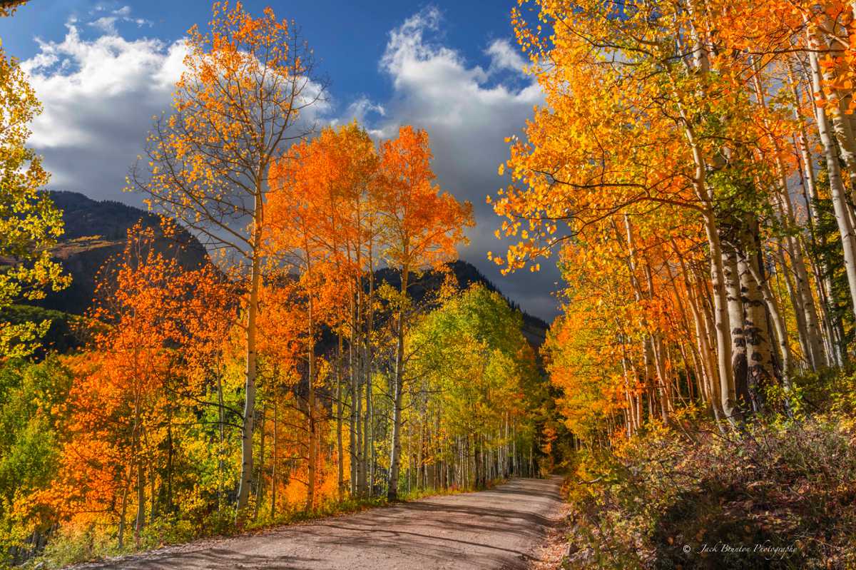 Colorado in the Autumn