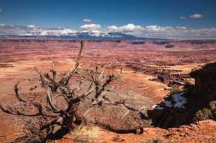 Canyonlands-9838.jpg