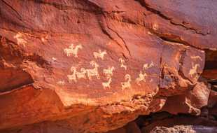 Petroglyphs-9767.jpg