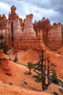 Bryce-0146.jpg