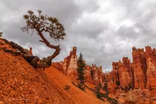 Bryce-0155.jpg