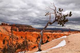 Bryce-0170.jpg