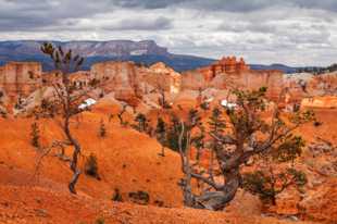 Bryce-0174.jpg