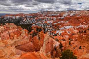 Bryce-0185.jpg