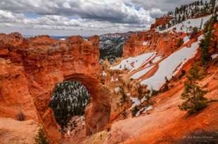 Bryce-0202.jpg