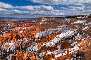 Bryce-0232.jpg