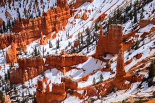 Bryce-0238.jpg