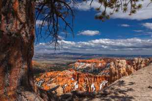 Bryce-0244.jpg