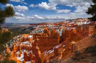 Bryce-0249.jpg