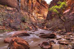 Zion-0092.jpg