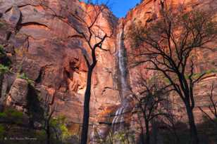 Zion-0097.jpg