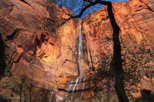 Zion-0099.jpg