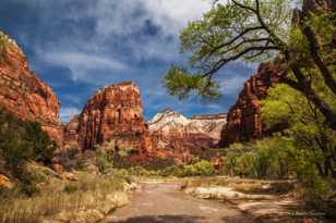 Zion-0109.jpg