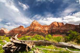 Zion-0125.jpg