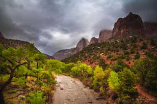 Zion-0289.jpg